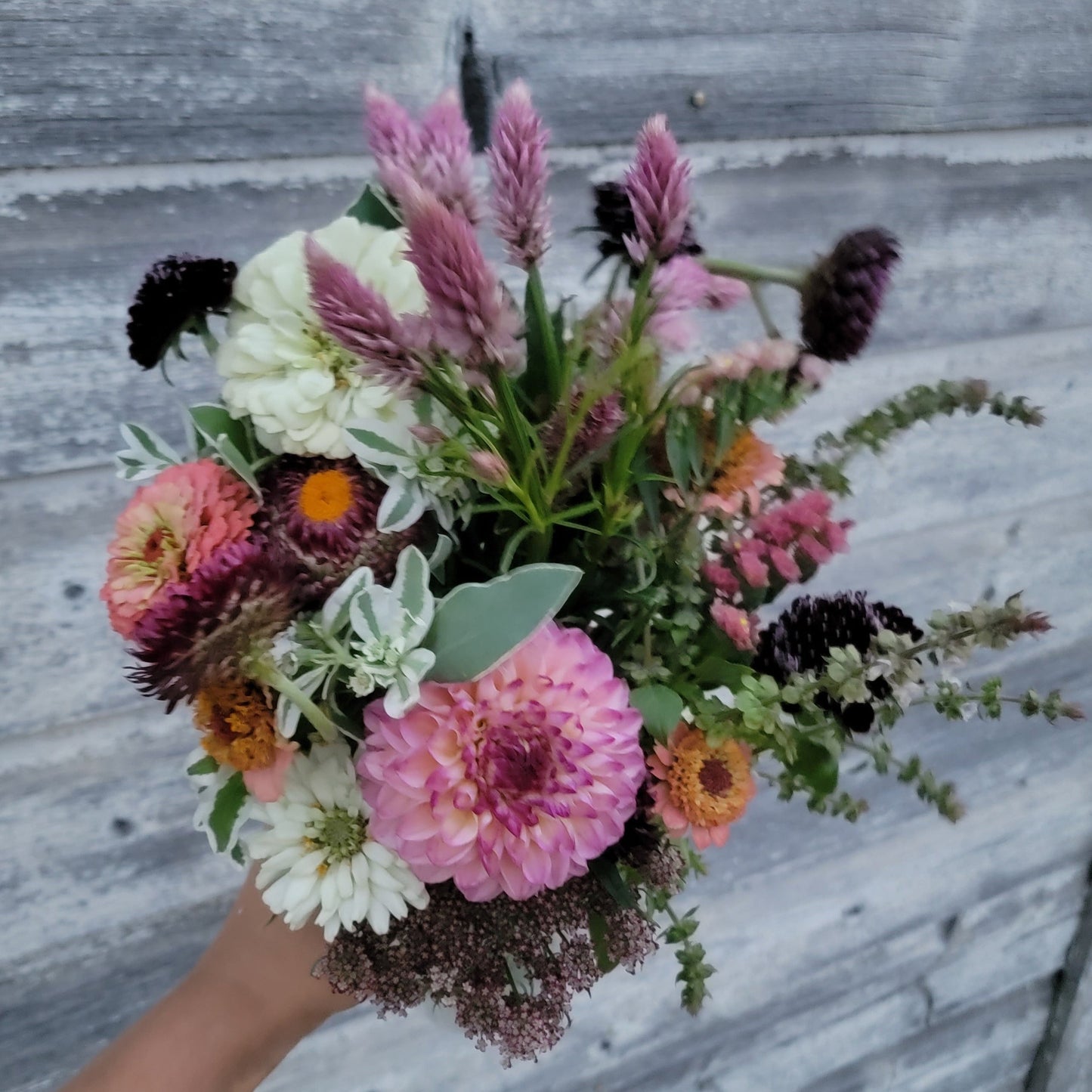 Season Sampler Subscription