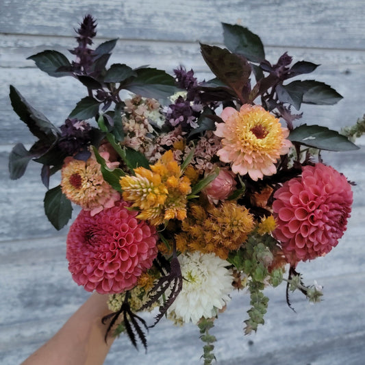 Season Sampler Subscription