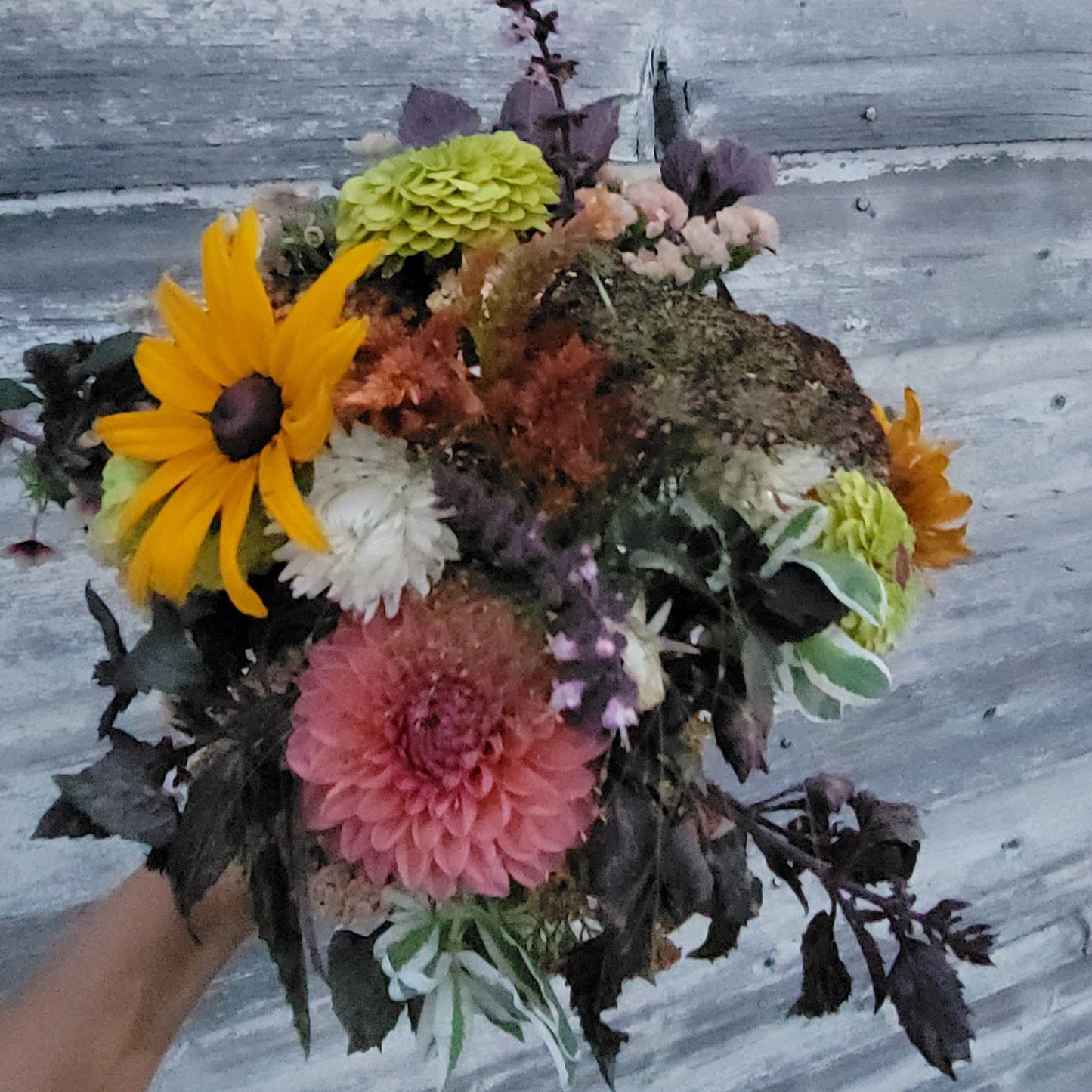 Season Sampler Subscription