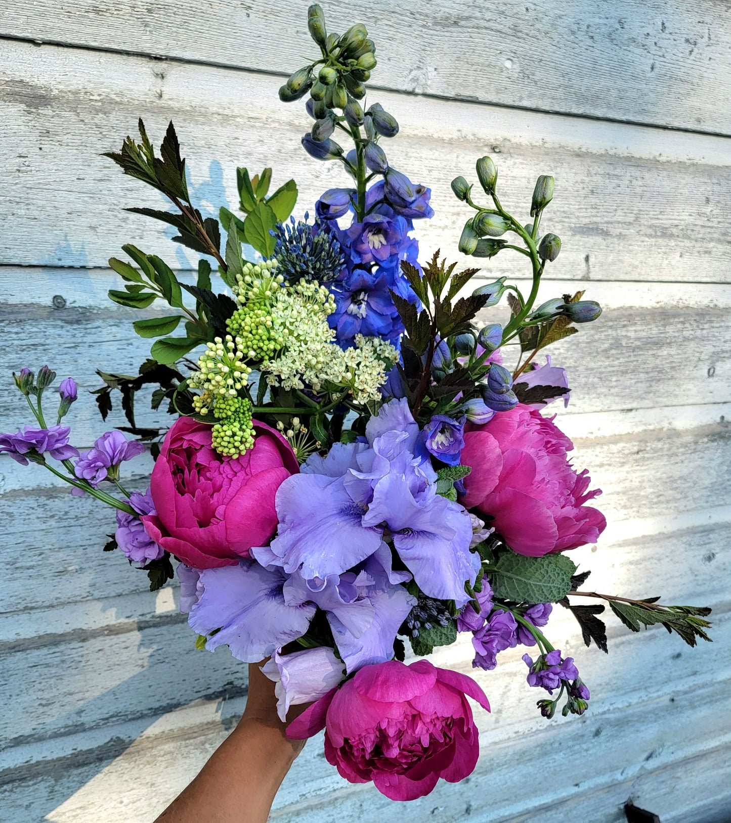 Season Sampler Subscription