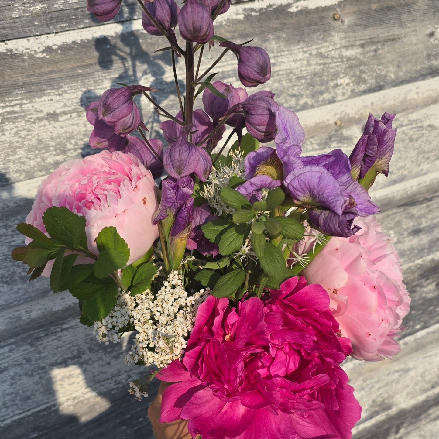 Season Sampler Subscription